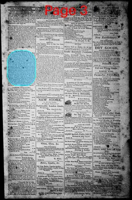 Page thumbnail for Norfolk Gazette And Publick Ledger