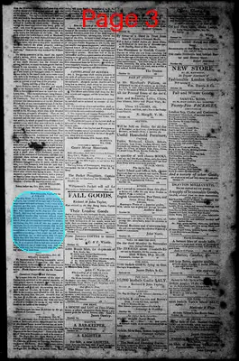 Page thumbnail for Norfolk Gazette And Publick Ledger