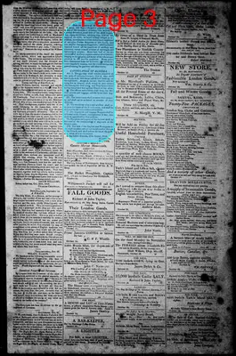 Page thumbnail for Norfolk Gazette And Publick Ledger