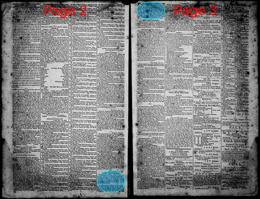 Page thumbnail for Norfolk Gazette And Publick Ledger