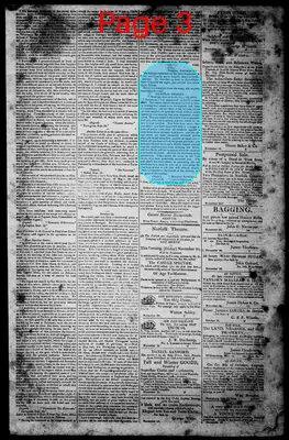 Page thumbnail for Norfolk Gazette And Publick Ledger