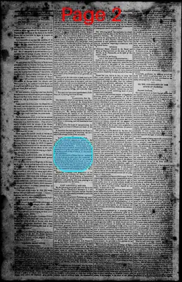 Page thumbnail for Norfolk Gazette And Publick Ledger