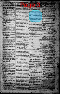 Page thumbnail for Norfolk Gazette And Publick Ledger