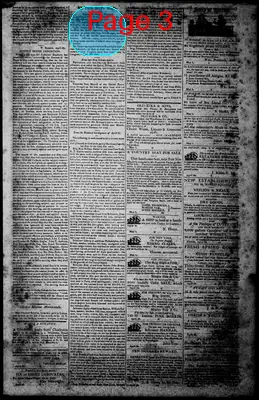 Page thumbnail for Norfolk Gazette And Publick Ledger