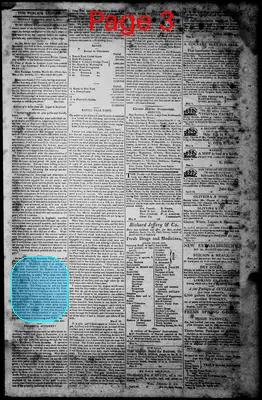 Page thumbnail for Norfolk Gazette And Publick Ledger
