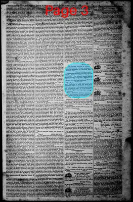 Page thumbnail for Norfolk Gazette And Publick Ledger
