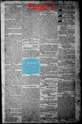 Page thumbnail for Norfolk Gazette And Publick Ledger