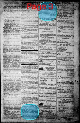 Page thumbnail for Norfolk Gazette And Publick Ledger
