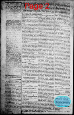 Page thumbnail for Norfolk Gazette And Publick Ledger