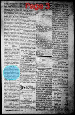 Page thumbnail for Norfolk Gazette And Publick Ledger