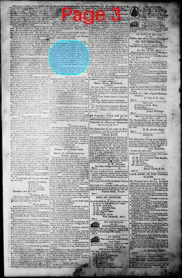Page thumbnail for Norfolk Gazette And Publick Ledger