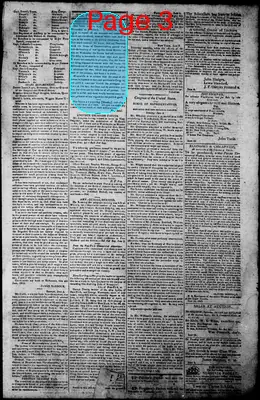 Page thumbnail for Norfolk Gazette And Publick Ledger
