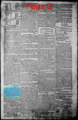 Page thumbnail for Norfolk Gazette And Publick Ledger