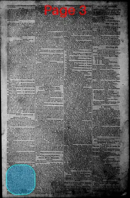 Page thumbnail for Norfolk Gazette And Publick Ledger