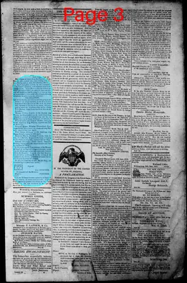 Page thumbnail for Norfolk Gazette And Publick Ledger
