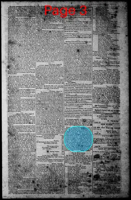 Page thumbnail for Norfolk Gazette And Publick Ledger