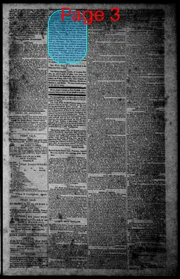 Page thumbnail for Norfolk Gazette And Publick Ledger