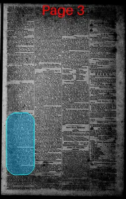 Page thumbnail for Norfolk Gazette And Publick Ledger