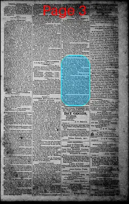 Page thumbnail for Norfolk Gazette And Publick Ledger