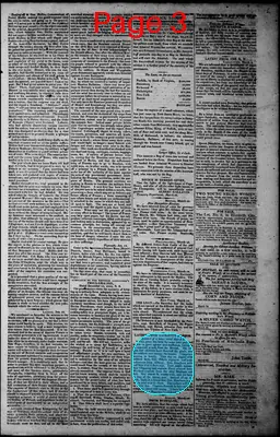 Page thumbnail for Norfolk Gazette And Publick Ledger