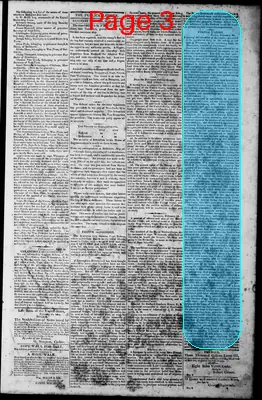 Page thumbnail for Norfolk Gazette And Publick Ledger