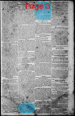 Page thumbnail for Norfolk Gazette And Publick Ledger