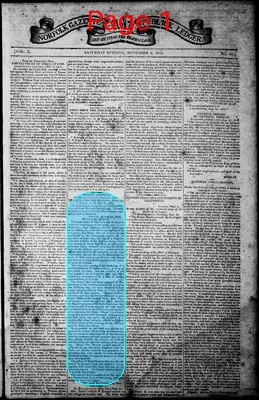 Page thumbnail for Norfolk Gazette And Publick Ledger