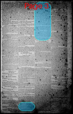 Page thumbnail for Norfolk Gazette And Publick Ledger