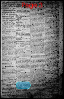 Page thumbnail for Norfolk Gazette And Publick Ledger