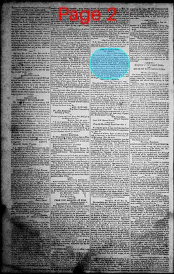 Page thumbnail for Norfolk Gazette And Publick Ledger