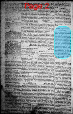 Page thumbnail for Norfolk Gazette And Publick Ledger