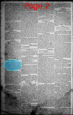 Page thumbnail for Norfolk Gazette And Publick Ledger
