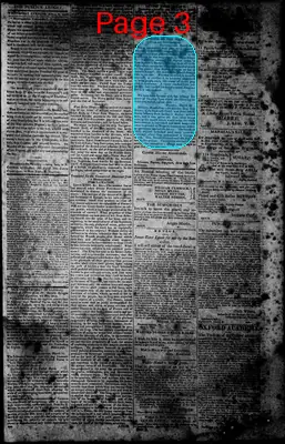 Page thumbnail for Norfolk Gazette And Publick Ledger