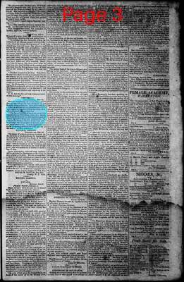 Page thumbnail for Norfolk Gazette And Publick Ledger