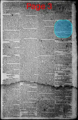 Page thumbnail for Norfolk Gazette And Publick Ledger