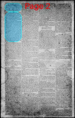 Page thumbnail for Norfolk Gazette And Publick Ledger