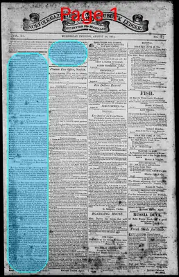 Page thumbnail for Norfolk Gazette And Publick Ledger