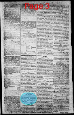 Page thumbnail for Norfolk Gazette And Publick Ledger