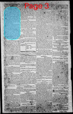 Page thumbnail for Norfolk Gazette And Publick Ledger
