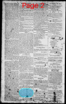 Page thumbnail for Norfolk Gazette And Publick Ledger