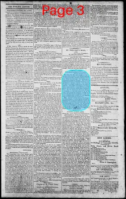 Page thumbnail for Norfolk Gazette And Publick Ledger