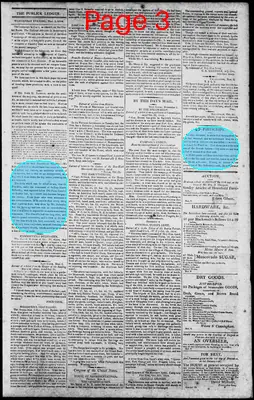 Page thumbnail for Norfolk Gazette And Publick Ledger