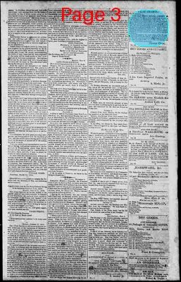 Page thumbnail for Norfolk Gazette And Publick Ledger
