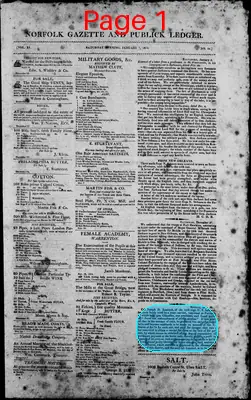 Page thumbnail for Norfolk Gazette And Publick Ledger