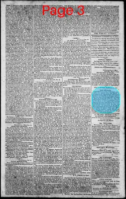 Page thumbnail for Norfolk Gazette And Publick Ledger