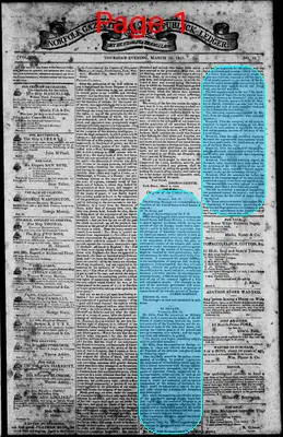 Page thumbnail for Norfolk Gazette And Publick Ledger