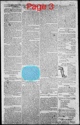 Page thumbnail for Norfolk Gazette And Publick Ledger