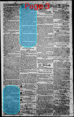 Page thumbnail for Norfolk Gazette And Publick Ledger