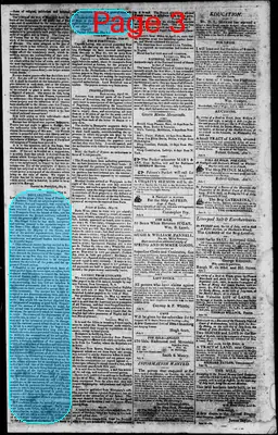 Page thumbnail for Norfolk Gazette And Publick Ledger