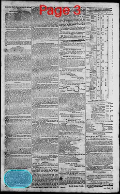 Page thumbnail for Norfolk Gazette And Publick Ledger